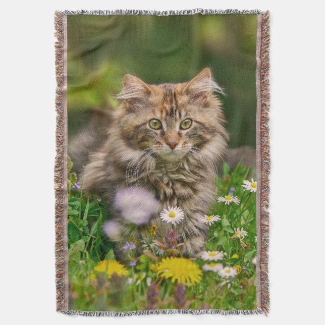 Couverture Cute Maine Coon Kitten Chat assis en Fleurs (devant Vertical)