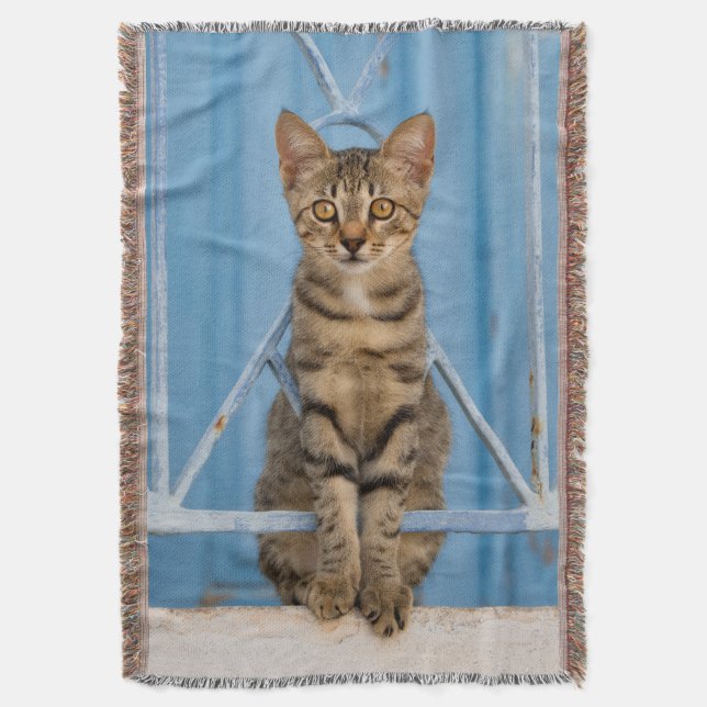 Couverture Cute Nosy Tabby Chat Kitten assis dans une clôture (devant Vertical)