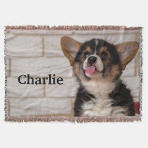 Couverture Cute Tri couleur Pembroke Welsh Corgi Chien Chien