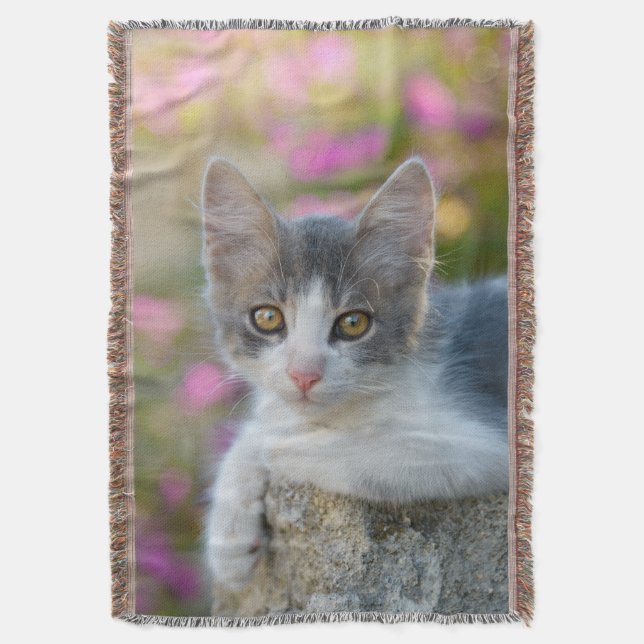 Couverture Cute Young Bicolor Chat Kitten Fleurs roses - (devant Vertical)