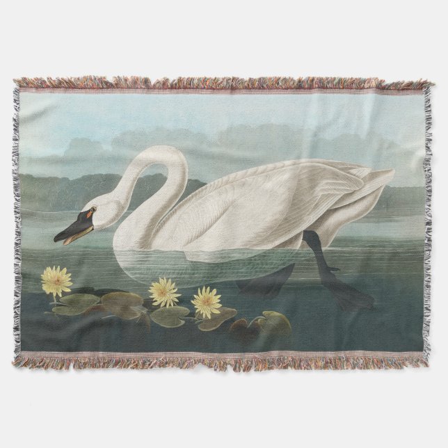 Couverture cygne audubon cygnes d'eau blanche (Devant)