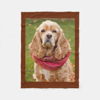 Couverture de cocker