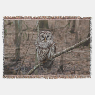 Couverture de jet de hibou barré de stupéfaction