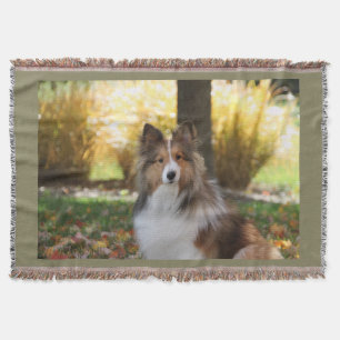 Couverture de jet de Sheltie