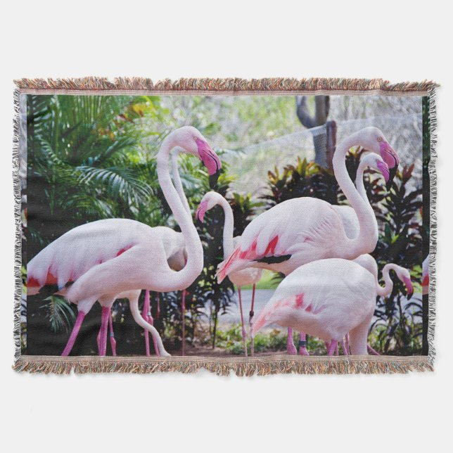 Couverture de jet tropicale Paradis Flamant Rose (“Bring the tropics home with these graceful flamingos.”)