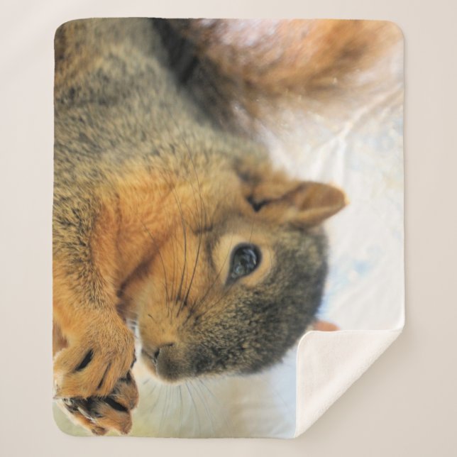 Couverture de jeton à manger (Devant)