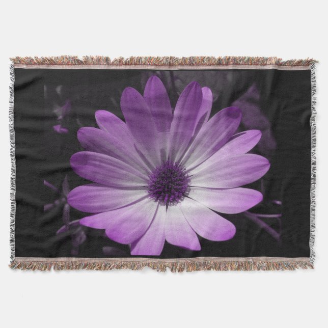 Couverture de lancer de fleur de marguerite violet (Devant)
