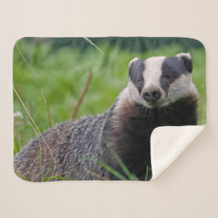 Couverture de Sherpa de blaireau