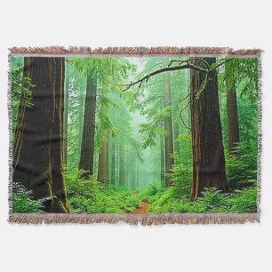 Couverture Design de tranquillité de la forêt de Redwood