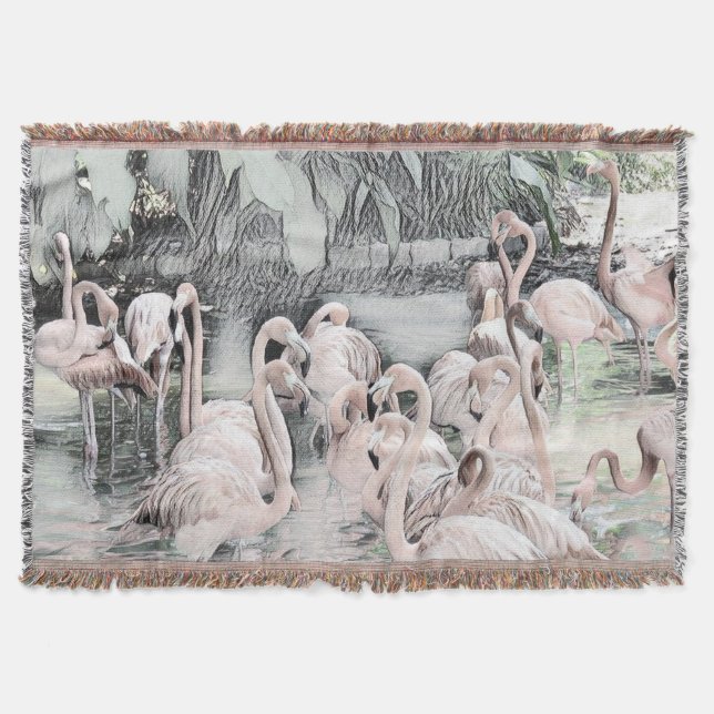 Couverture Dessin de Flamants roses roses et blancs dans l'ea (Devant)