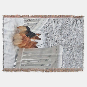 Couverture Deux Corgis dans la neige