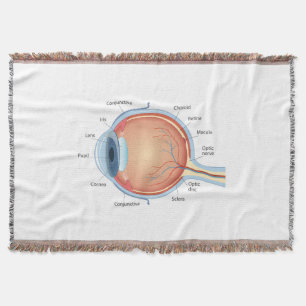 Couverture Diagramme anatomique de l'oeil