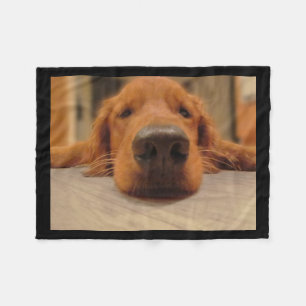 Couverture d'ouatine de golden retriever