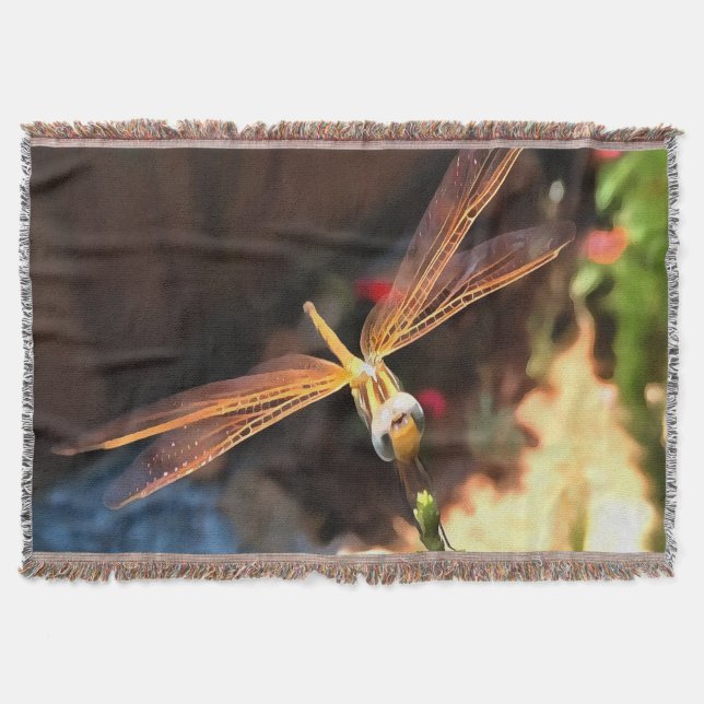 Couverture Dragonfly With Sunlight Gilded Wings (Devant)