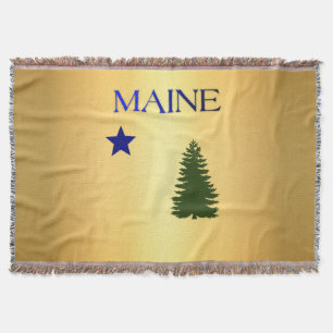 Couverture Drapeau du Maine 1901