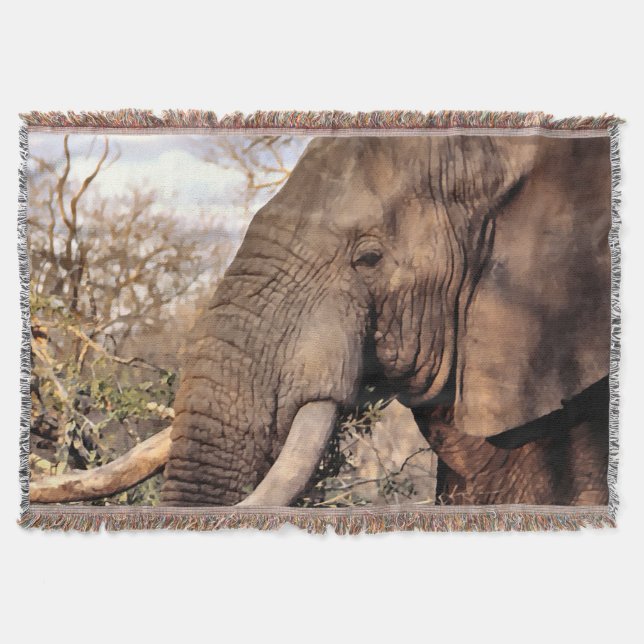Couverture Eléphant Art (Devant)