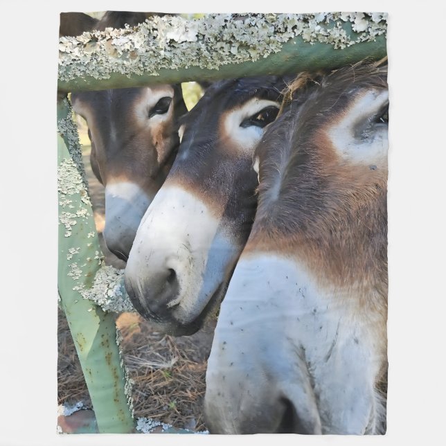 Couverture en polaire Donkey Love, grande 60" x 80 (Devant)