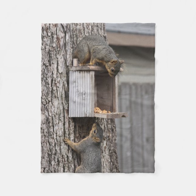 Couverture en polaire écureuil (Devant)