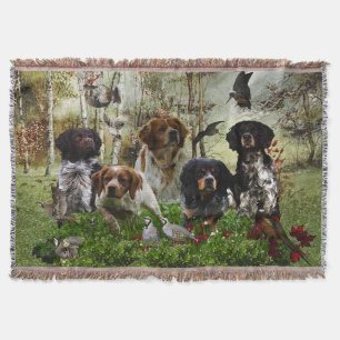 Couverture Épagneuls bretons,   chasse aux oiseaux   