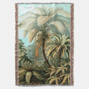 Couverture Ernst Haeckel's Filicinae (Fermes d'arbre) Jeter B