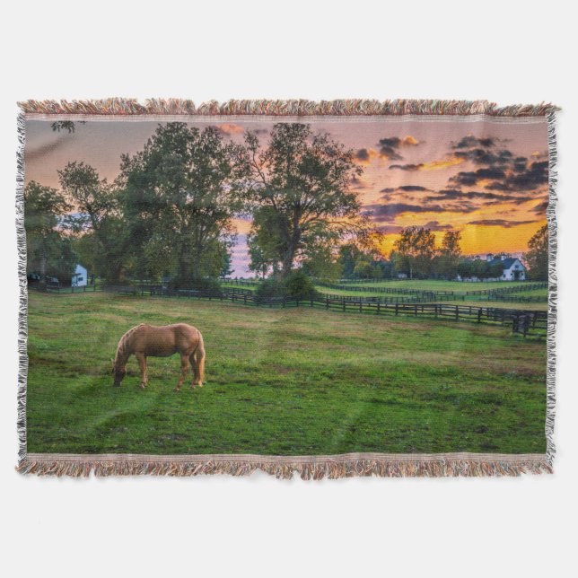 Couverture États-Unis, Lexington, Kentucky. Cheval solitaire  (Devant)
