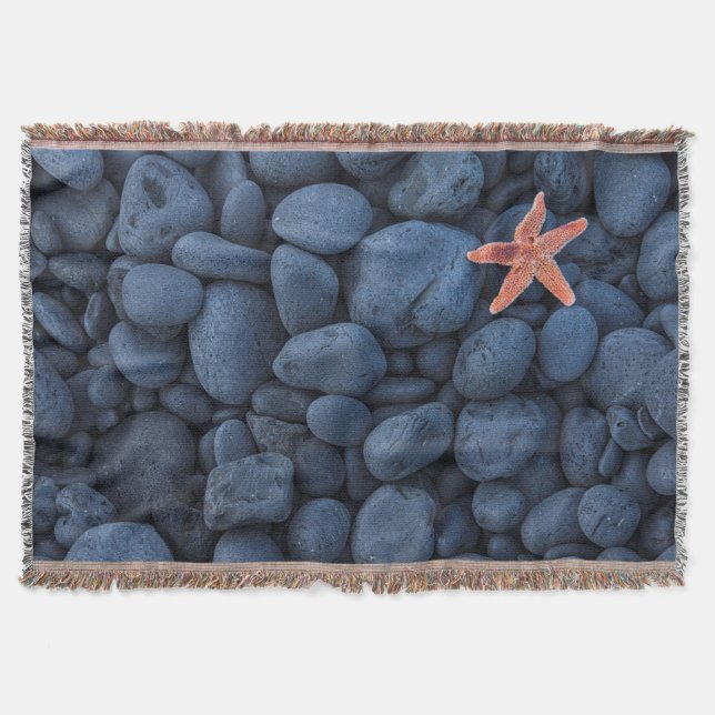 Couverture Étoiles de mer sur les roches noires le long de la (Devant)