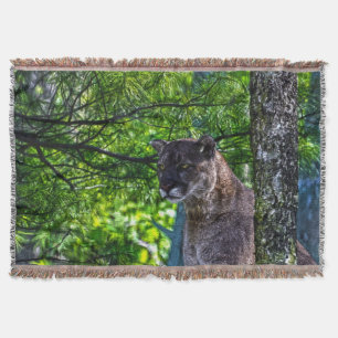 Couverture Faune de branches de puma et de pin de puma II