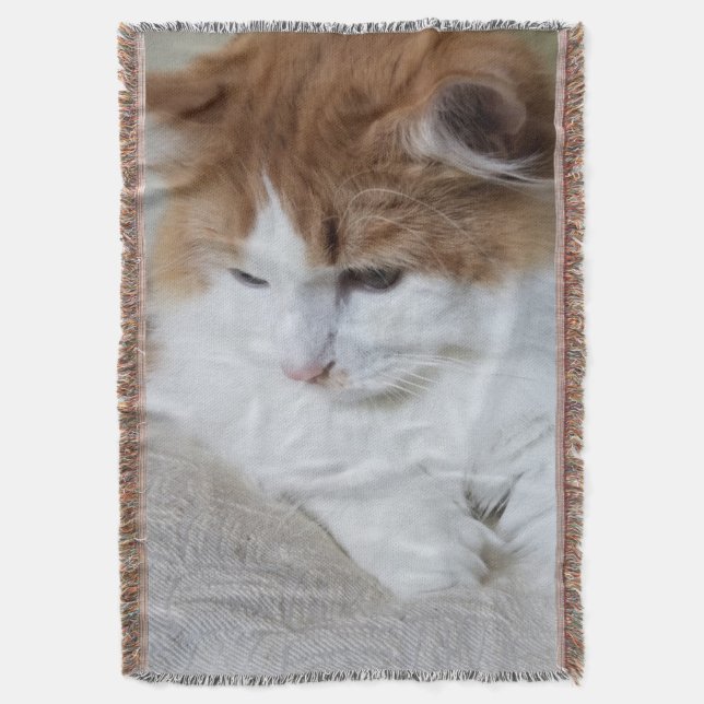 Couverture (Feline Fancy) Contemplation Kitty : Photo Cat (devant Vertical)