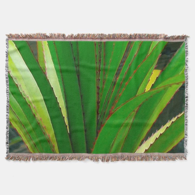 Couverture Fermeture de la colonne vertébrale (Devant)