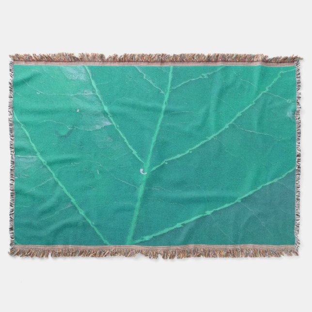 Couverture Feuille d'Aqua (Devant)