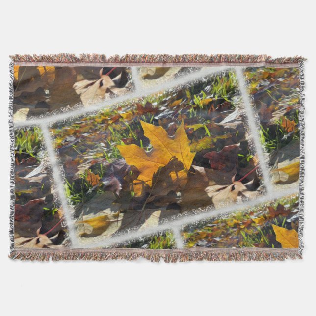 Couverture Feuille d'automne au soleil (Devant)