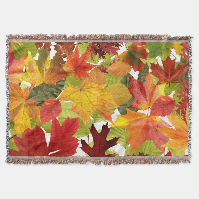 Couverture Feuilles automnales d'automne (Devant)