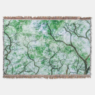 Couverture Feuilles et succursales élégants mais Éffrayants J
