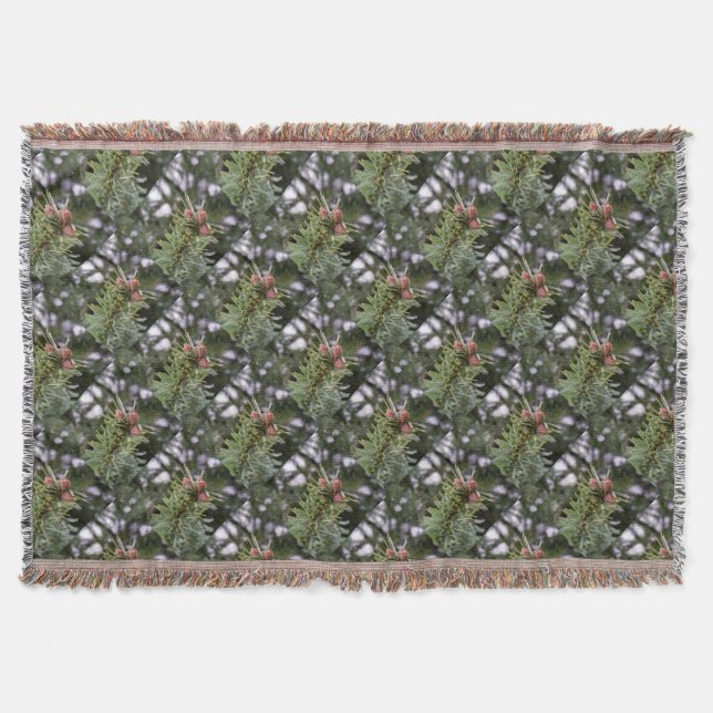 Couverture Fir buds (Devant)