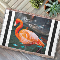 Flamant rose rose Photo Noir Blanc Stripe Odeur Ci