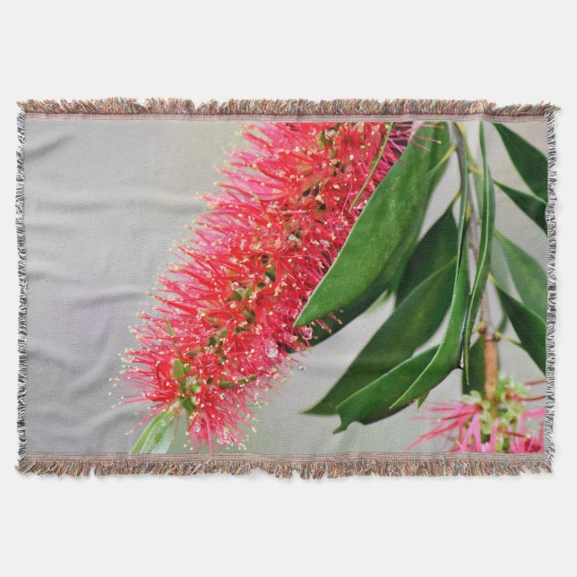 COUVERTURE FLEUR AUSTRALIE DE BROSSE DE BOUTEILLE DE (Devant)
