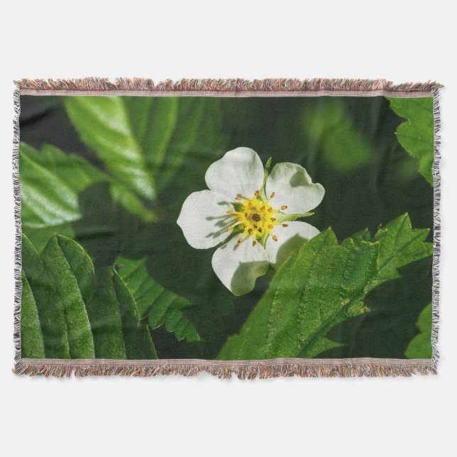 Couverture Fleur de fraises sauvages (Devant)