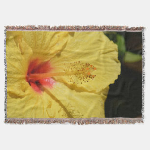 Couverture Fleur d'Hibiscus hawaïen
