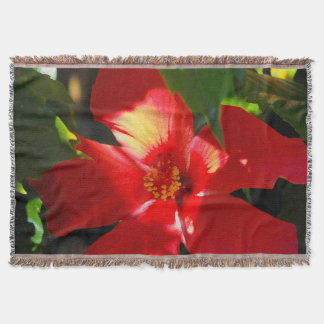 Couverture Fleur d'Hibiscus rouge au soleil