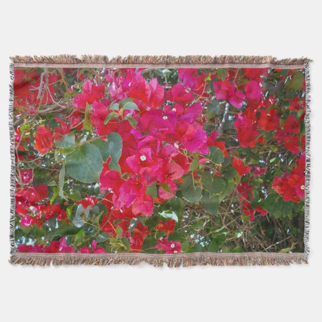 Couverture Fleurs De Crimson : Danse Des Bougainvilliers Roug (Devant)