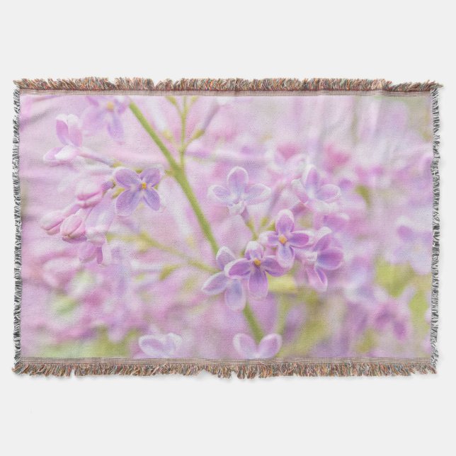 Couverture Fleurs de lilas brume (Devant)