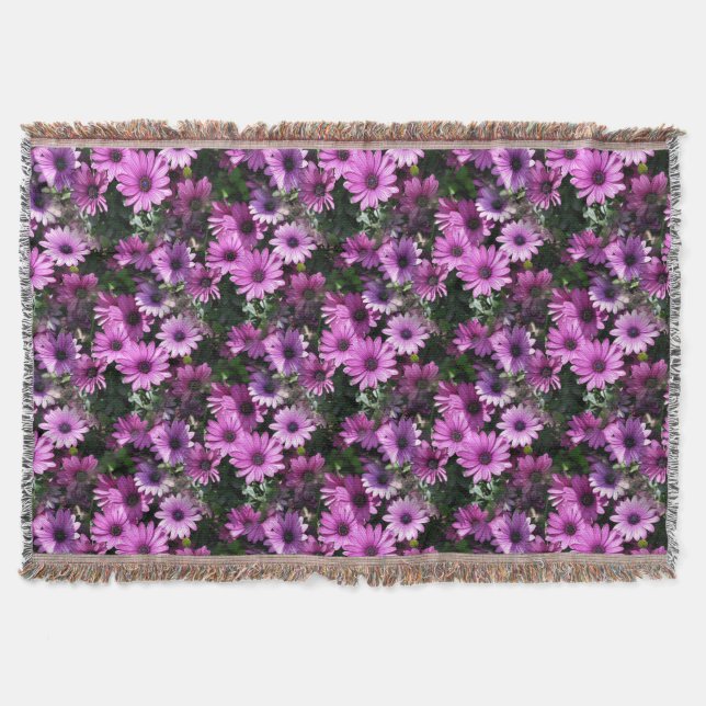 Couverture Fleurs de marguerite africaine violet Motif de la  (Devant)