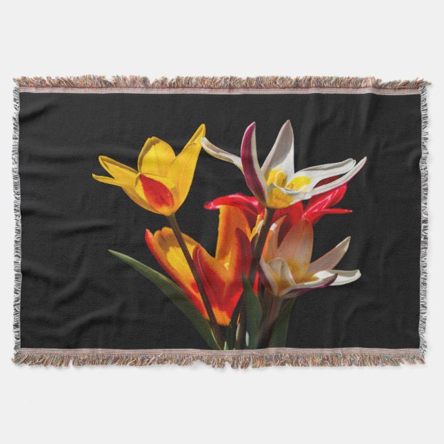 Couverture Fleurs de tulipe contre arrière - plan noir (Devant)