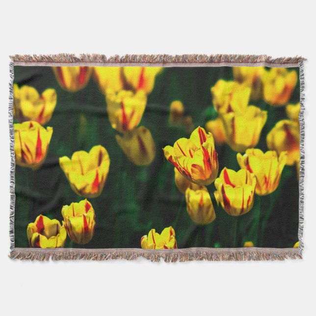 Couverture Fleurs de tulipe jaune (Devant)