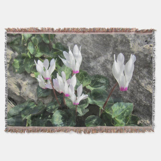 Couverture Fleurs sauvages (Devant)