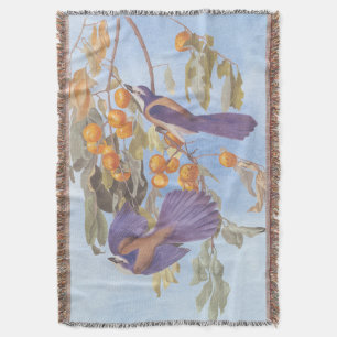 Couverture Floride Scrub Jay Audubon Bird Pair sur Orange Tre