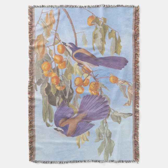 Couverture Floride Scrub Jay Audubon Bird Pair sur Orange Tre (devant Vertical)