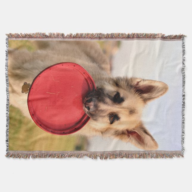 Couverture Frisbee (Devant)