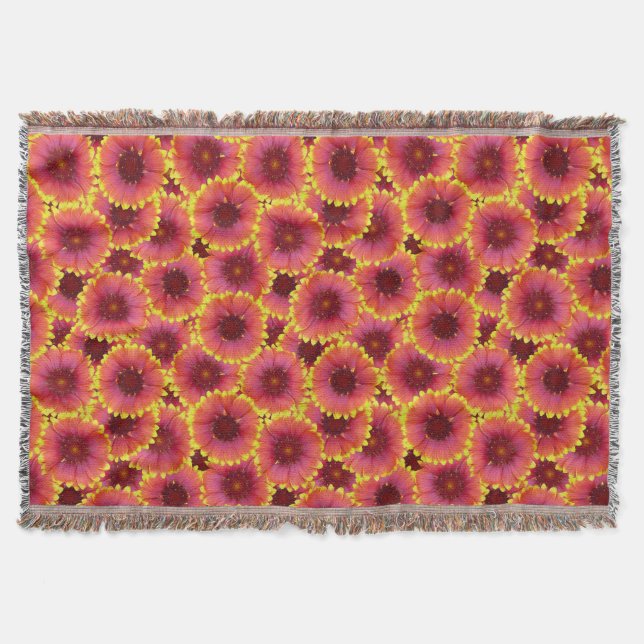 Couverture Gaillardia Motif sans ambages (Devant)