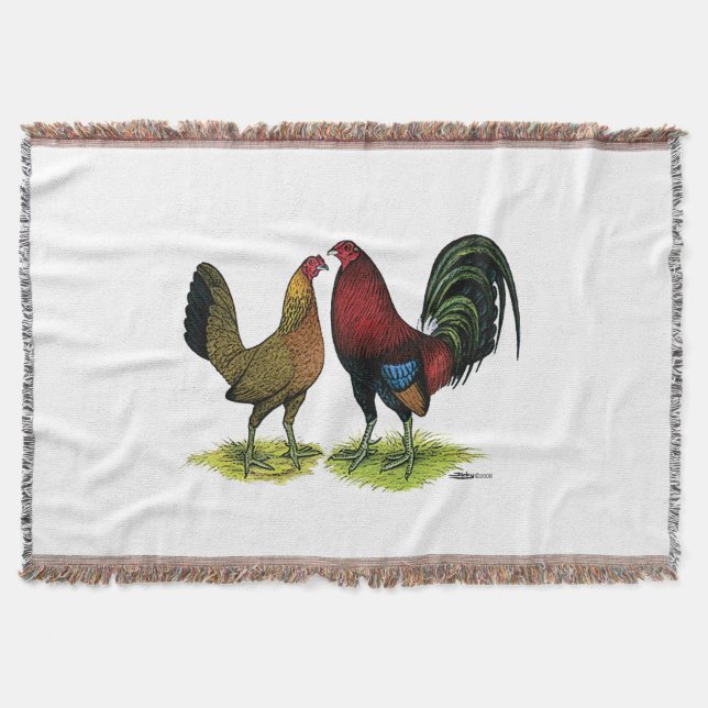 Couverture Gamefowl Pair (Devant)